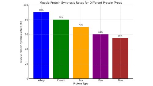 Muscle Protein Synthesis Rates for Different Protein Types 2- FitnessPal