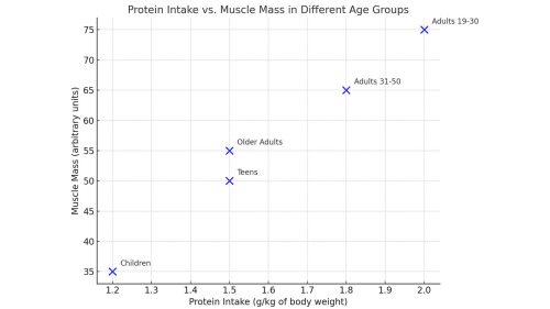 Protein Intake vs. Muscle Mass in Different Age Groups - FitnessPal