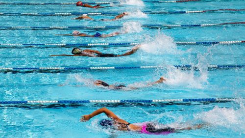 The Safety Factor Low-Impact vs. High-Impact - FitnessPal