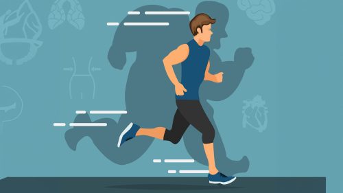 durations, and intensities for optimal belly fat loss - FitnessPal