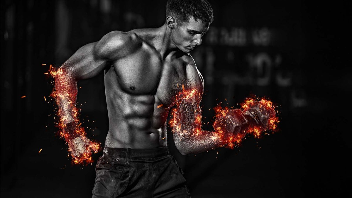 From Skinny to Strong Your Complete Muscle Transformation Guide - FitnessPal
